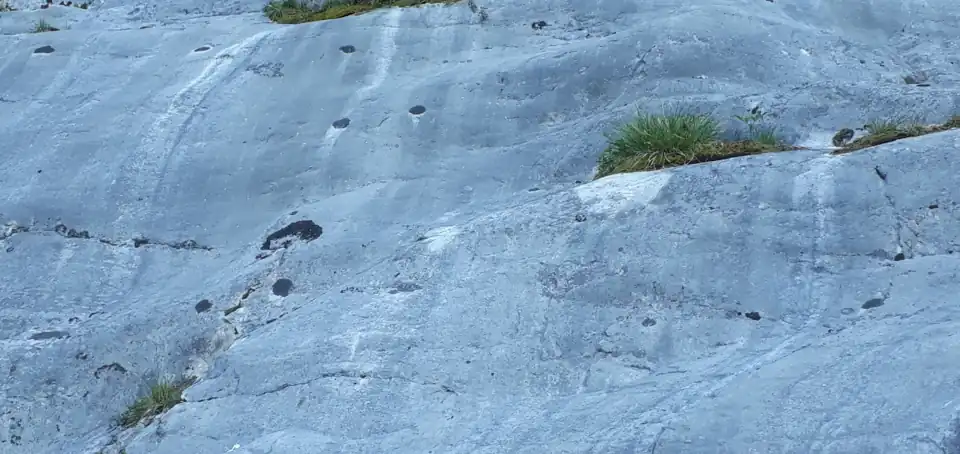 Gletscherschliff mit kleinen runden Napfkarren (Kamenitzas) und Lösungsspuren