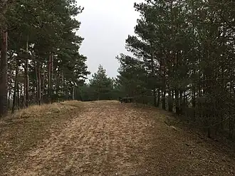 Gipfel des Weinbergs