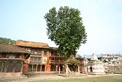 Vishnu Paduka, Pilgerherbergen und von Feigenbaum überwachsener Schrein