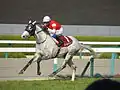 Schläger mit einer roten Schleife im Schweif gekennzeichnet, Hanshin Racecourse, 2014