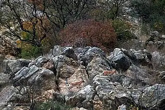 Wildziegen im Golestan-Nationalpark
