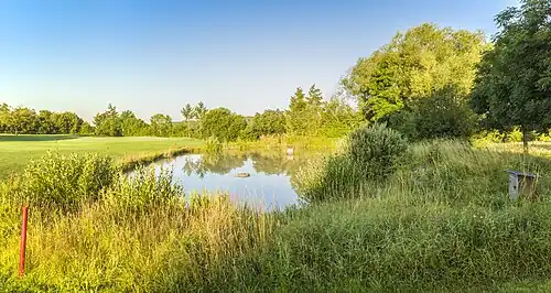 Teich am 14. Grün