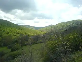 Blick über den Gombori-Kamm