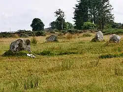 Steinkreis im Hintergrund