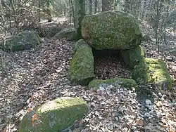 Großsteingrab Gienau 1