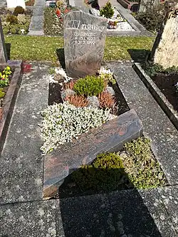 Grabstein Willrecht Wöllhafs auf dem Neuen Friedhof Steinheim an der Murr