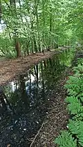 Der Graben Rothsteinsmoor nahe der Zeppelinstraße