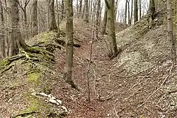 Graben und Vorwall im Westen des Kleinen Everstein