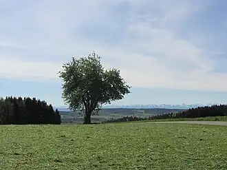 Die Aussicht nach Osten von der Grabener Höhe