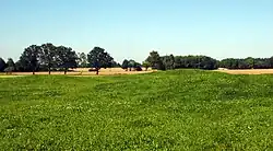 Mehrere Hügelgräber auf der Weide mit 16 Grabhügeln