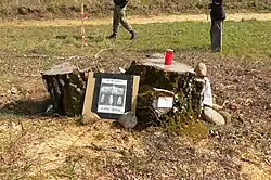 Baumstumpf auf dem Grabhügel mit Protestzettel gegen seine geplante Beseitigung, 2021