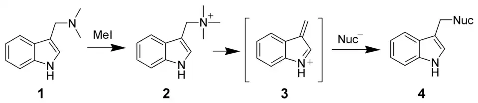 Retro-Michael-Addition von Gramin.