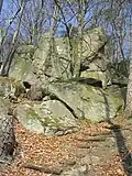 Granit-Felsklippe mit Kletterfelsen am Schenkenberghang in Lindenfels