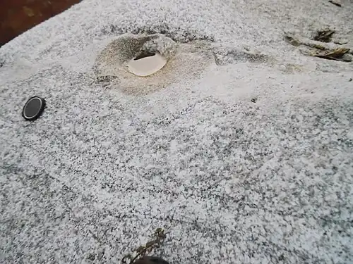 Magmatische Schlieren in der grobkörnigen Fazies des Piégut-Pluviers-Granodiorits bei La Chapoulie, Nontron