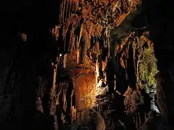 Tropfsteine in der Grasslhöhle