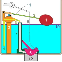 Schwimmer (1) in der Toilettenspülung