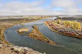 Green River im Seedskadee National Wildlife Refuge