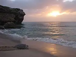 Schildkrötenreservat Ras al-Hadd und das Erbestätten von Ras al-Dschinz