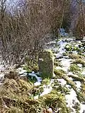 Grenzstein unmittelbar an der Lengefelder Warte