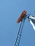 Griffon beim First Drop