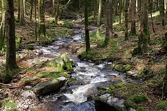 Oberhalb der Grimbachfälle