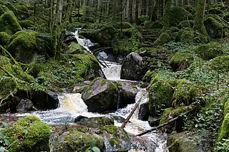 Kaskaden des Grimbachs