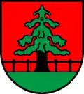 „Schärm“-Tanne (Grindel CH)