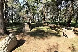 Großsteingrab Groß Berßen 9