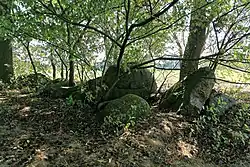 Großsteingrab Groß Berßen 10