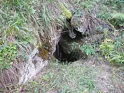 Der kleine Eingang des Spinnenlabyrinths (2862/10), der in einer Doline liegt.