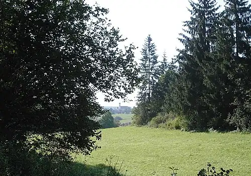 Großkuchen vom Krätzental