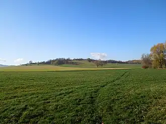 Blick zum Finkenhübel