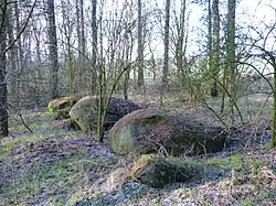 Großsteingrab Vrees 1