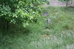 Großsteingrab Deinste 2