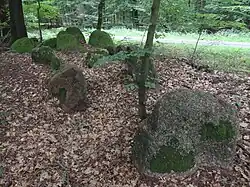 Großsteingrab Edendorf 1