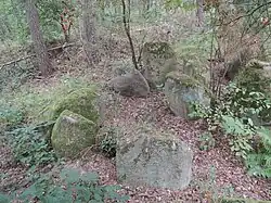 Großsteingrab Edendorf 2