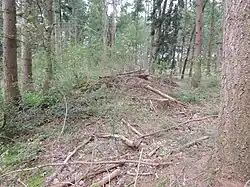 Großsteingrab Edendorf 7