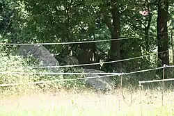 Großsteingrab Hatten 1