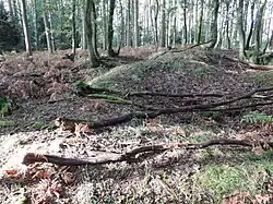 Großsteingrab Holzen 2