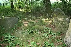 Großsteingrab Holzhausener Kellersteine 1