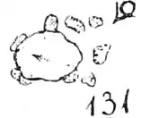 Beispiel für einen Polygonaldolmen: Lüdelsen 1