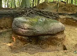 Ausgegrabener Findling, vormals freiliegende Oberfläche ist grün bewachsen, 2015