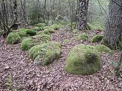Großsteingrab Mühle Verhorn
