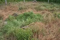 Großsteingrab Rastede