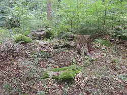 Großsteingrab Solchstorf 2