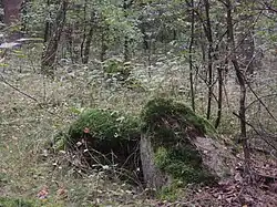 Großsteingrab Sottorf 1