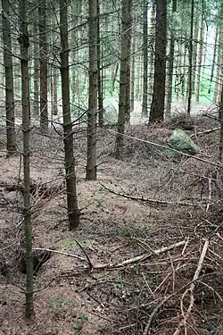 Großsteingrab Wallhöfen