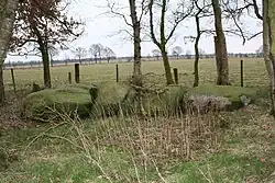 Großsteingrab Wanna 12