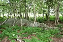 Großsteingrab Wanna 2