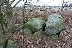 Großsteingrab Wanna 3